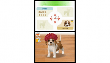 Гра Nintendo DS Nintendogs Lab & Friends Англійська Версія Б/У - Retromagaz, image 1