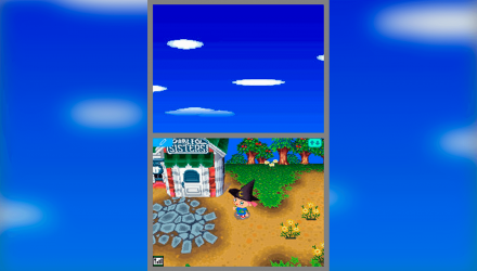 Игра Nintendo DS Animal Crossing: Wild World Английская Версия Б/У - Retromagaz, image 4