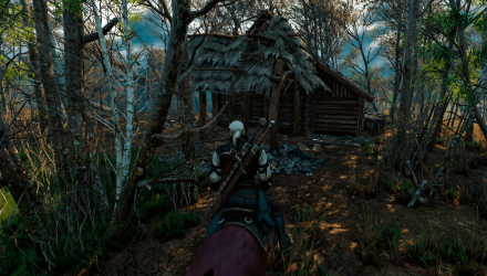 Гра Nintendo Switch The Witcher 3 Wild Hunt Російські Субтитри Новий - Retromagaz, image 4