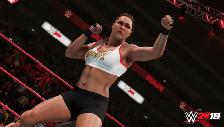 Игра Sony PlayStation 4 WWE 2K19 Английская Версия Б/У - Retromagaz, image 1