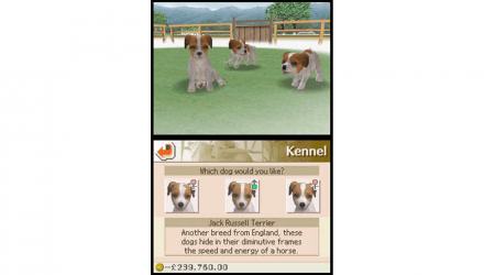 Гра Nintendo DS Nintendogs Lab & Friends Англійська Версія Б/У - Retromagaz, image 2