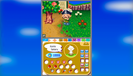 Игра Nintendo DS Animal Crossing: Wild World Английская Версия Б/У - Retromagaz, image 2