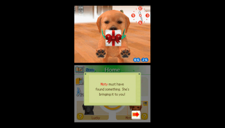 Игра Nintendo DS Nintendogs Chihuahua & Friends Английская Версия Б/У - Retromagaz, image 2