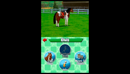 Игра Nintendo DS Pony Friends Английская Версия Б/У - Retromagaz, image 6