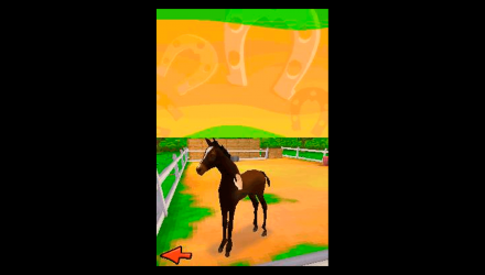 Игра Nintendo DS Petz: Horsez 2 Английская Версия Б/У - Retromagaz, image 4