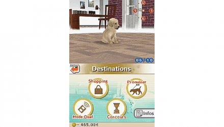 Гра Nintendo DS Nintendogs Lab & Friends Англійська Версія Б/У - Retromagaz, image 5