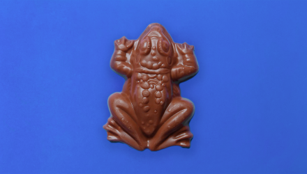 Набір Шоколад Jelly Belly Chocolate Frog Harry Potter 15g 4шт - Retromagaz, image 6