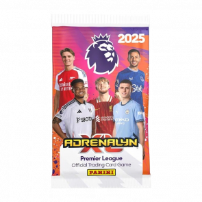 Наклейки Premier League 2025 PANINI - Retromagaz