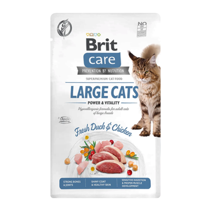 Сухой Корм для Кошек Brit Care Power & Vitality Курица и Утка 400g - Retromagaz