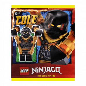 Конструктор Lego Фигурка Cole paper bag #2 Ninjago 892408 njo888 Новый