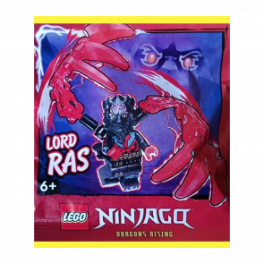 Конструктор Lego Фігурка Lord Ras Paper Bag #3 Ninjago 892502 njo944 Новий - Retromagaz