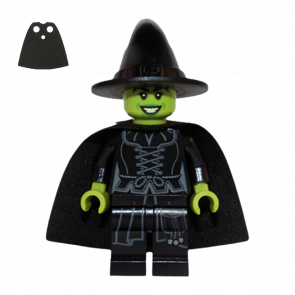 Фігурка Lego DC Wicked Witch Super Heroes dim005 Б/У - Retromagaz